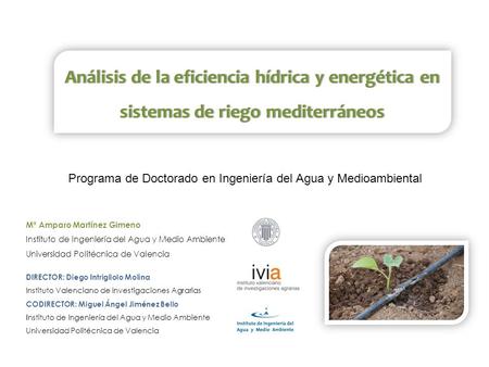 Programa de Doctorado en Ingeniería del Agua y Medioambiental