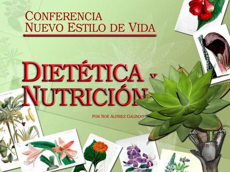 Orientar e informar, acerca del valor nutritivo, preventivo, curativo (dietoterápico) y culinario de los alimentos, recetas y menús.