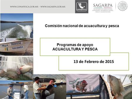 13 de Febrero de 2015 Comisión nacional de acuacultura y pesca Programas de apoyo ACUACULTURA Y PESCA.