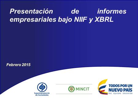 Presentación de informes empresariales bajo NIIF y XBRL