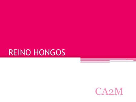 REINO HONGOS CA2M.