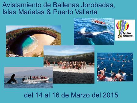 Avistamiento de Ballenas Jorobadas, Islas Marietas & Puerto Vallarta