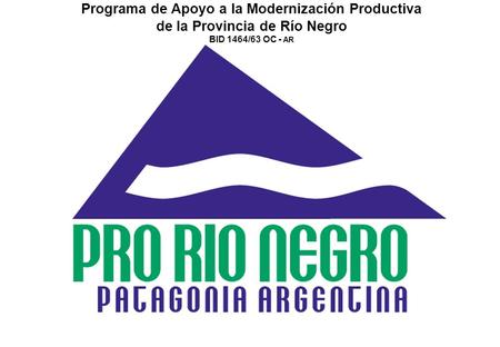 Programa de Apoyo a la Modernización Productiva de la Provincia de Río Negro BID 1464/63 OC - AR.