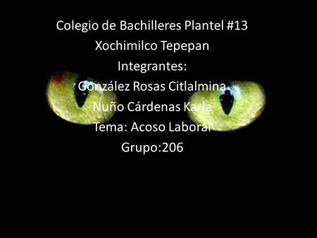 Colegio de Bachilleres Plantel #13 Xochimilco Tepepan Integrantes: