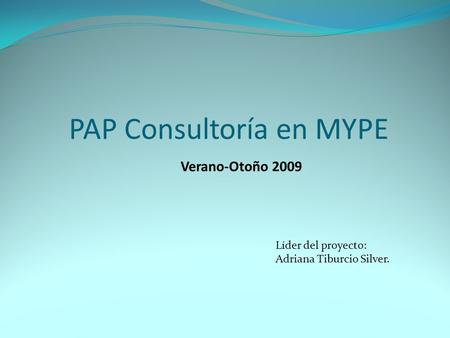 Verano-Otoño 2009 Líder del proyecto: Adriana Tiburcio Silver. PAP Consultoría en MYPE.