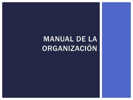 Manual de la Organización