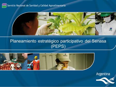 Planeamiento estratégico participativo del Senasa (PEPS)