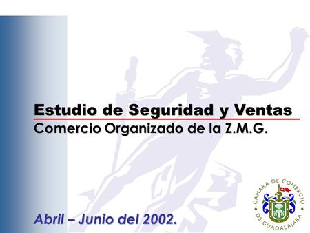 Estudio de Seguridad y Ventas Comercio Organizado de la Z.M.G. Abril – Junio del 2002.