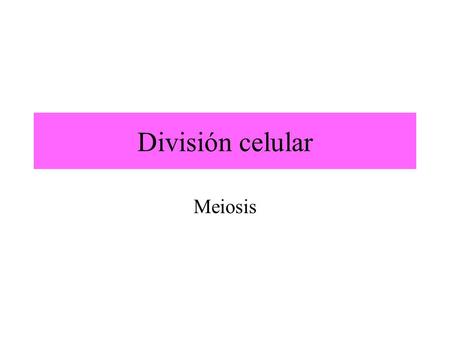 División celular Meiosis.
