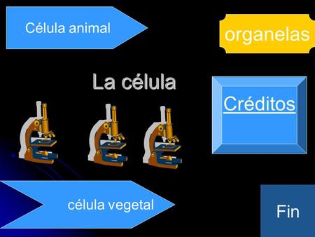 Célula animal organelas La célula Créditos célula vegetal Fin.