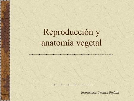 Reproducción y anatomía vegetal