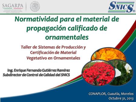 1 Normatividad para el material de propagación calificado de ornamentales Taller de Sistemas de Producción y Certificación de Material Vegetativo en Ornamentales.
