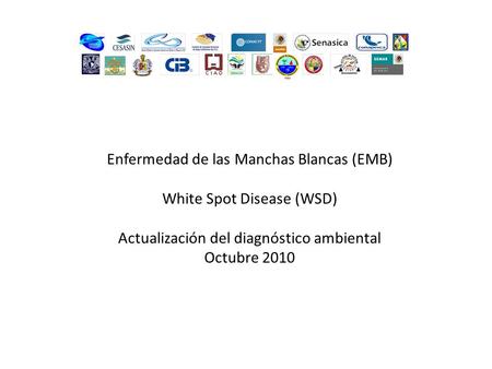 Enfermedad de las Manchas Blancas (EMB) White Spot Disease (WSD) Actualización del diagnóstico ambiental Octubre 2010.