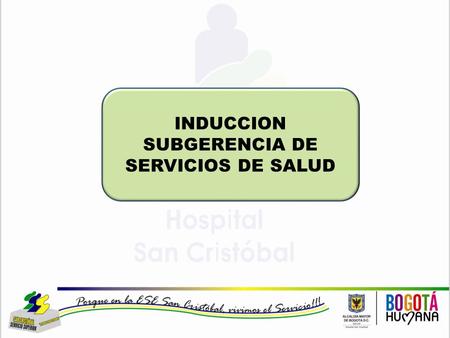 INDUCCION SUBGERENCIA DE SERVICIOS DE SALUD