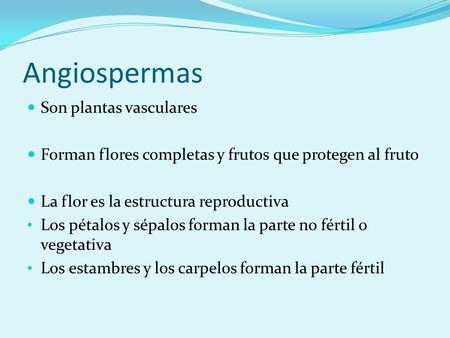 Angiospermas Son plantas vasculares