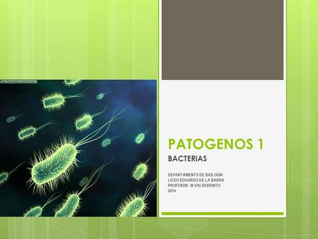 PATOGENOS 1 BACTERIAS DEPARTAMENTO DE BIOLOGÍA