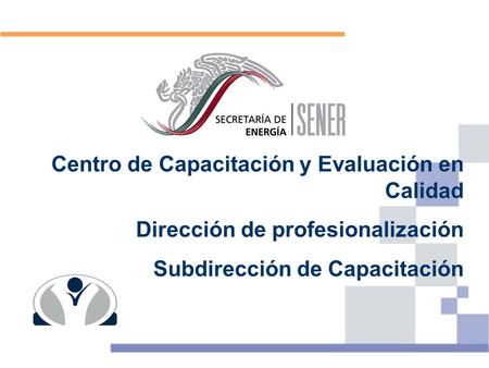 Centro de Capacitación y Evaluación en Calidad Dirección de profesionalización Subdirección de Capacitación.