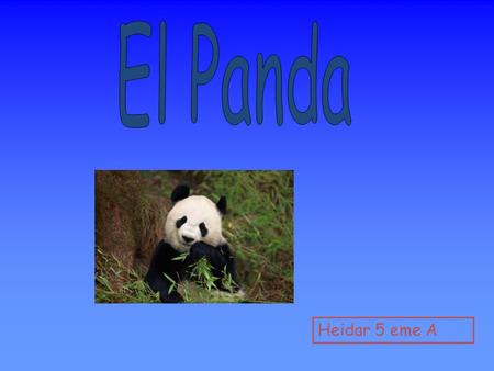 El Panda Heidar 5 eme A.