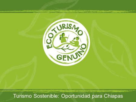 Turismo Sostenible: Oportunidad para Chiapas. Quiénes Somos.