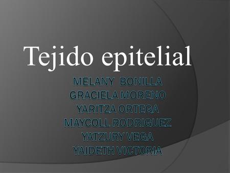 Tejido epitelial MELANY BONILLA GRACIELA MORENO YARITZA ORTEGA MAYCOLL RODRIGUEZ YATZURY VEGA YAIDETH VICTORIA.