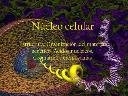 Núcleo celular Estructura. Organización del material genético. Ácidos nucleicos. Cromatina y cromosomas.