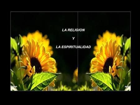 LA RELIGION Y LA ESPIRITUALIDAD.