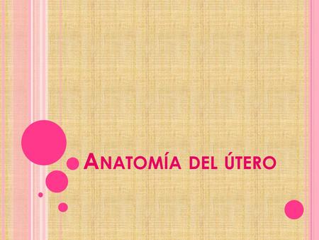 Anatomía del útero.