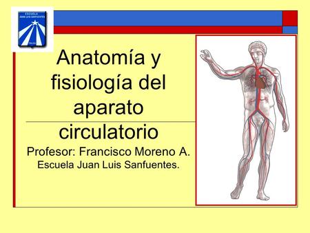 Anatomía y fisiología del aparato circulatorio Profesor: Francisco Moreno A. Escuela Juan Luis Sanfuentes.