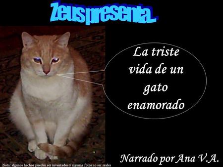La triste vida de un gato enamorado Narrado por Ana V.A. Nota: algunos hechos pueden ser inventados y algunas fotos no ser reales.