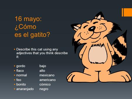 16 mayo: ¿Cómo es el gatito?  Describe this cat using any adjectives that you think describe it:  gordobajo  flacoalto  normalmexicano  feoamericano.