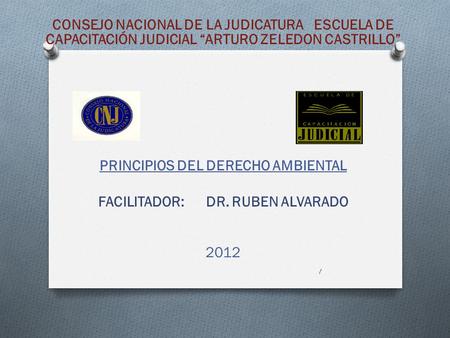 PRINCIPIOS DEL DERECHO AMBIENTAL FACILITADOR: DR. RUBEN ALVARADO