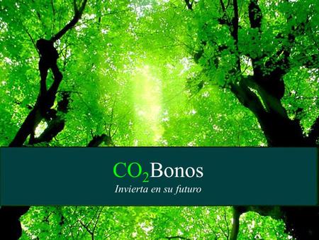 CO 2 Bonos Invierta en su futuro. Contexto climático global Las amenaza del presente CO 2 Bonos Invierta en su futuro Inversiones no tradicionales.