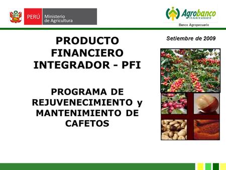 Banco Agropecuario PROGRAMA DE REJUVENECIMIENTO y MANTENIMIENTO DE CAFETOS Setiembre de 2009 PRODUCTO FINANCIERO INTEGRADOR - PFI.