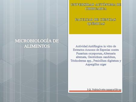 I.Q. Nubia Ivette Amaya Olivas. En el presente trabajo se evaluó la actividad antifúngica in vitro de extractos acuosos de especias de clavo (Eugenia.