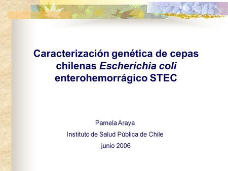 Caracterización genética de cepas chilenas Escherichia coli enterohemorrágico STEC Pamela Araya Instituto de Salud Pública de Chile junio 2006.