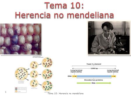 Tema 10: Herencia no mendeliana