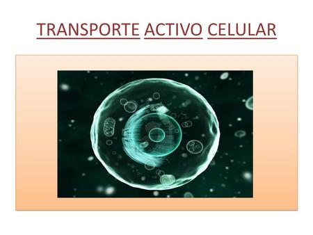 TRANSPORTE ACTIVO CELULAR. DEFINICION Es un mecanismo que permite a la célula transportar sustancias disueltas a través de su membrana desde regiones.