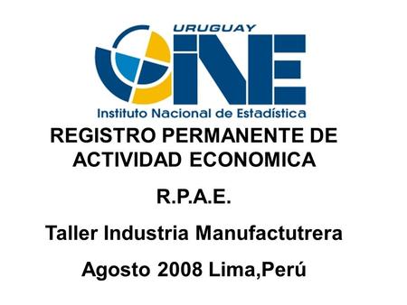REGISTRO PERMANENTE DE ACTIVIDAD ECONOMICA R.P.A.E. Taller Industria Manufactutrera Agosto 2008 Lima,Perú.