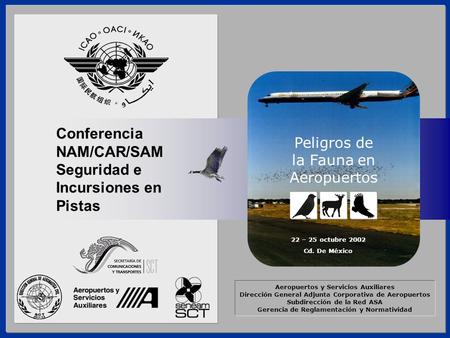 Conferencia NAM/CAR/SAM Seguridad e Incursiones en Pistas Seguridad e Incursión de la Fauna en Pistas 22 – 25 octubre 2002 Cd. De México Aeropuertos y.