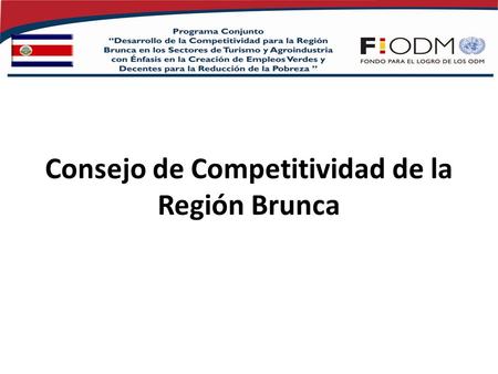 Consejo de Competitividad de la Región Brunca. El Consejo de Competitividad es un foro que reúne a representantes de diversas organizaciones y sectores.