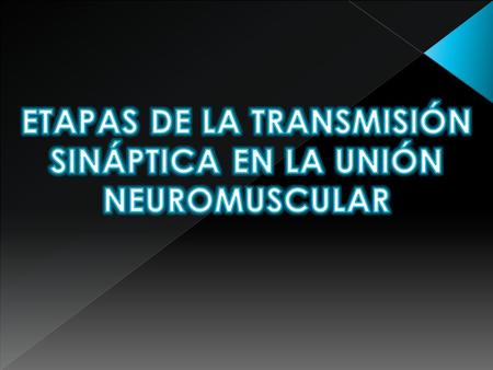 ETAPAS DE LA TRANSMISIÓN SINÁPTICA EN LA UNIÓN NEUROMUSCULAR