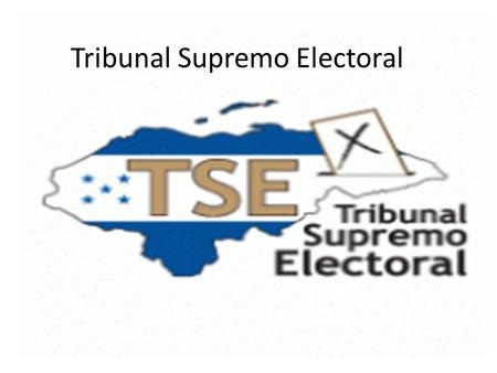 Tribunal Supremo Electoral