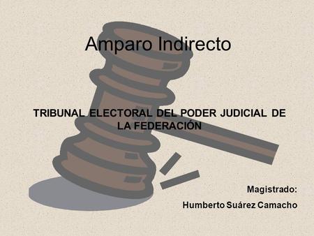 TRIBUNAL ELECTORAL DEL PODER JUDICIAL DE LA FEDERACIÓN