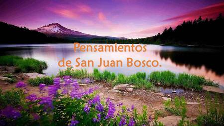 Pensamientos de San Juan Bosco..