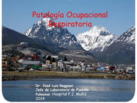 Patología Ocupacional Respiratoria