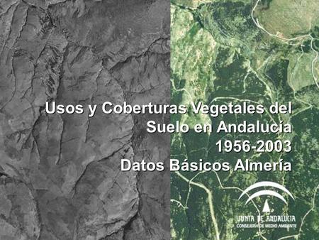Usos y Coberturas Vegetales del Suelo en Andalucía