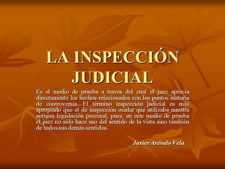 LA INSPECCIÓN JUDICIAL