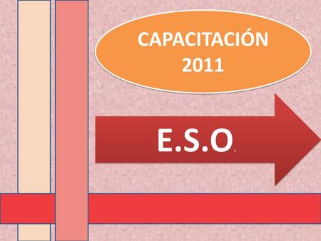CAPACITACIÓN 2011 E.S.O..