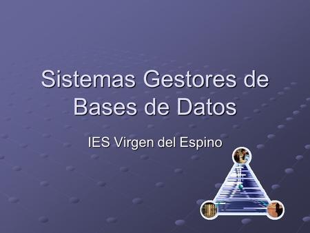 Sistemas Gestores de Bases de Datos
