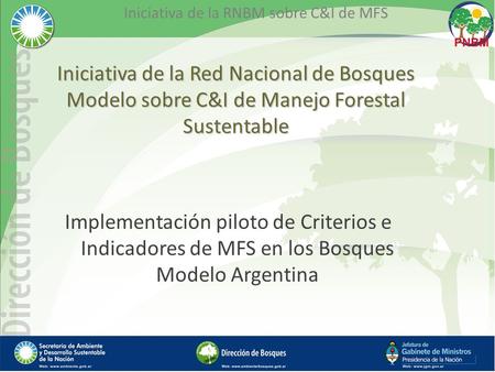 Iniciativa de la RNBM sobre C&I de MFS Iniciativa de la Red Nacional de Bosques Modelo sobre C&I de Manejo Forestal Sustentable Implementación piloto de.